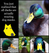 Duck Dog Mask