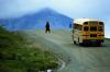 Bear School Bus